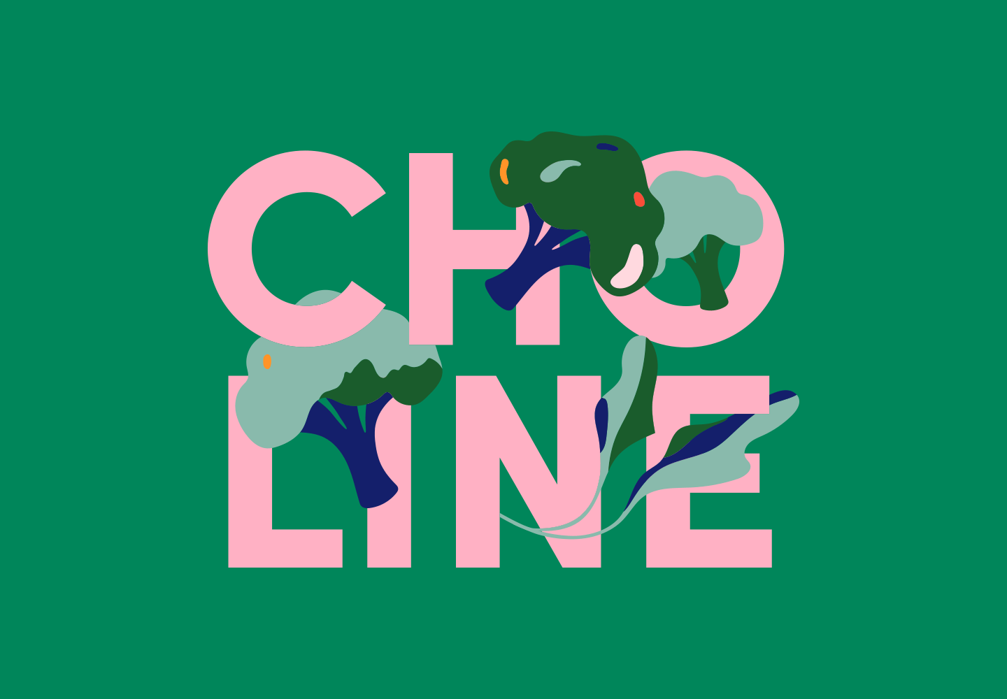 Cerebelly Nutrients - Choline Illustration