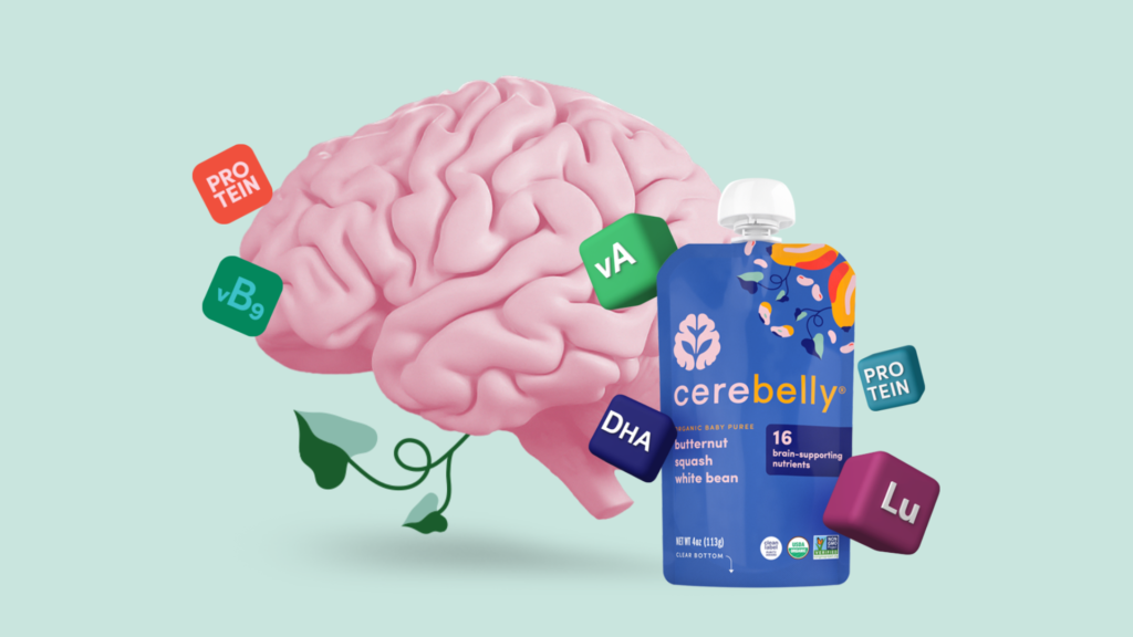 5 Tips to Nourish a Baby's Hungry Brain