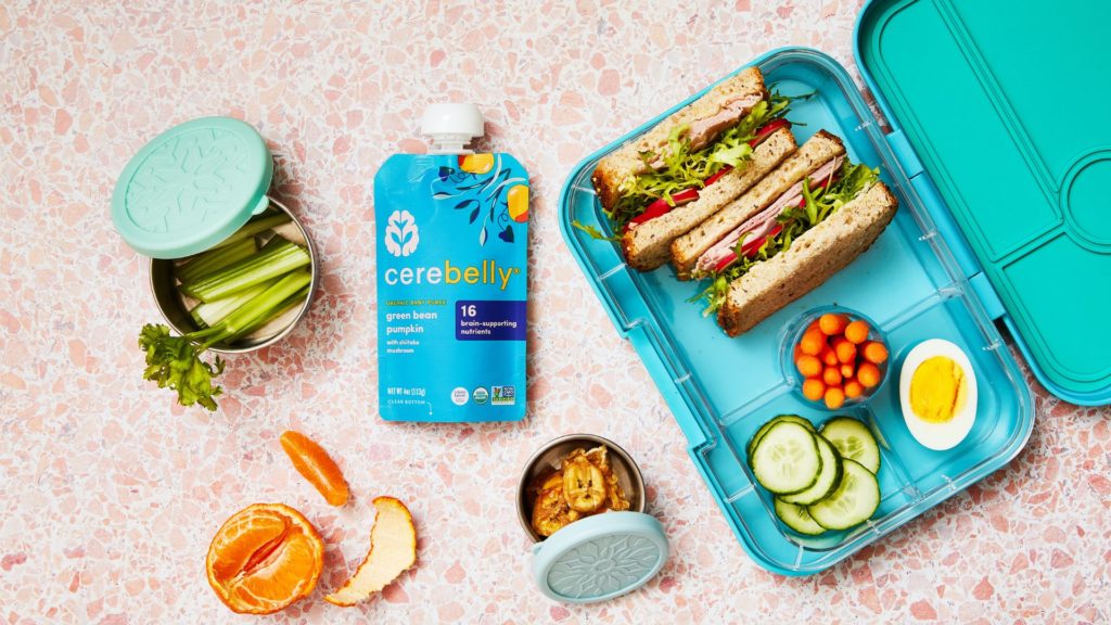 Tips for preparing healthy lunches for toddlers and preschool age kids