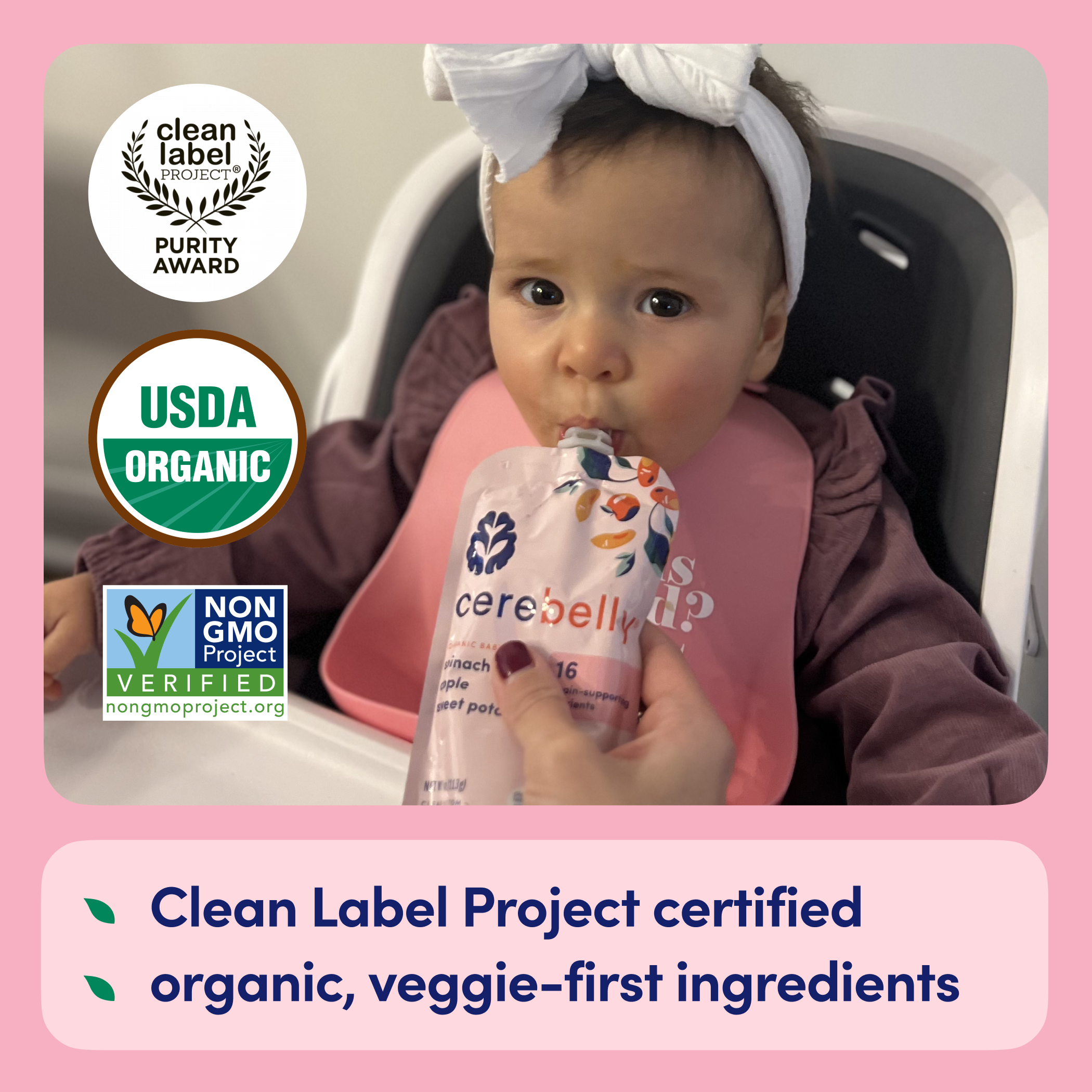 Spinach Apple Sweet Potato Puree PPLEnPiniopple GPppiP