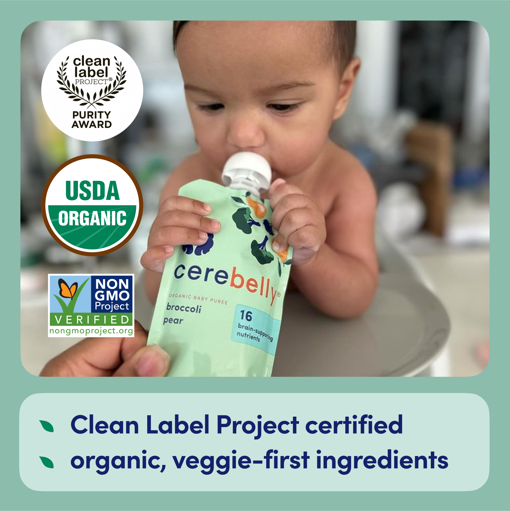 Broccoli Pear Puree 6 Puree Baby Claims