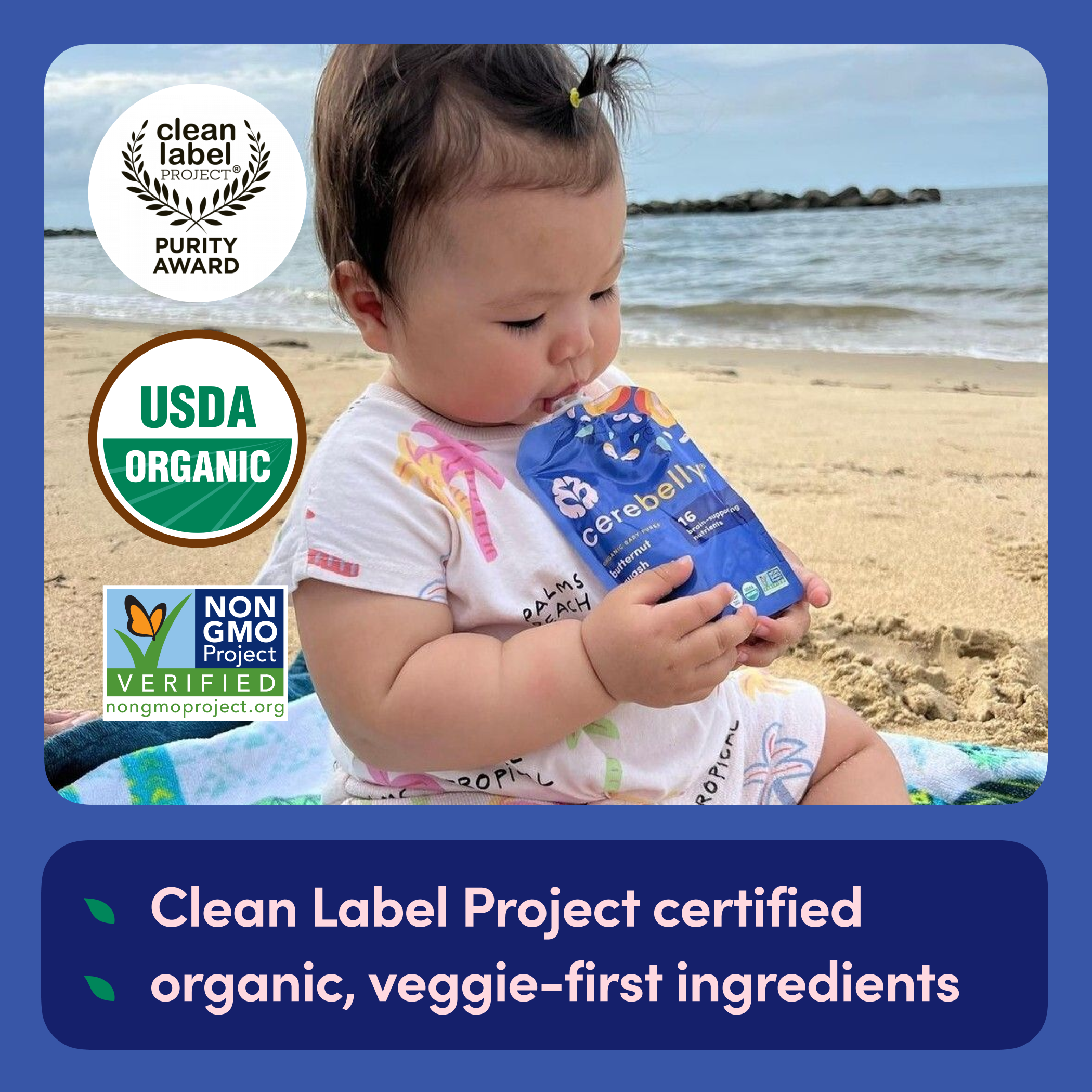 Butternut Squash White Bean Puree 6 Baby