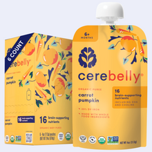 Carrot Pumpkin Puree 6 Image