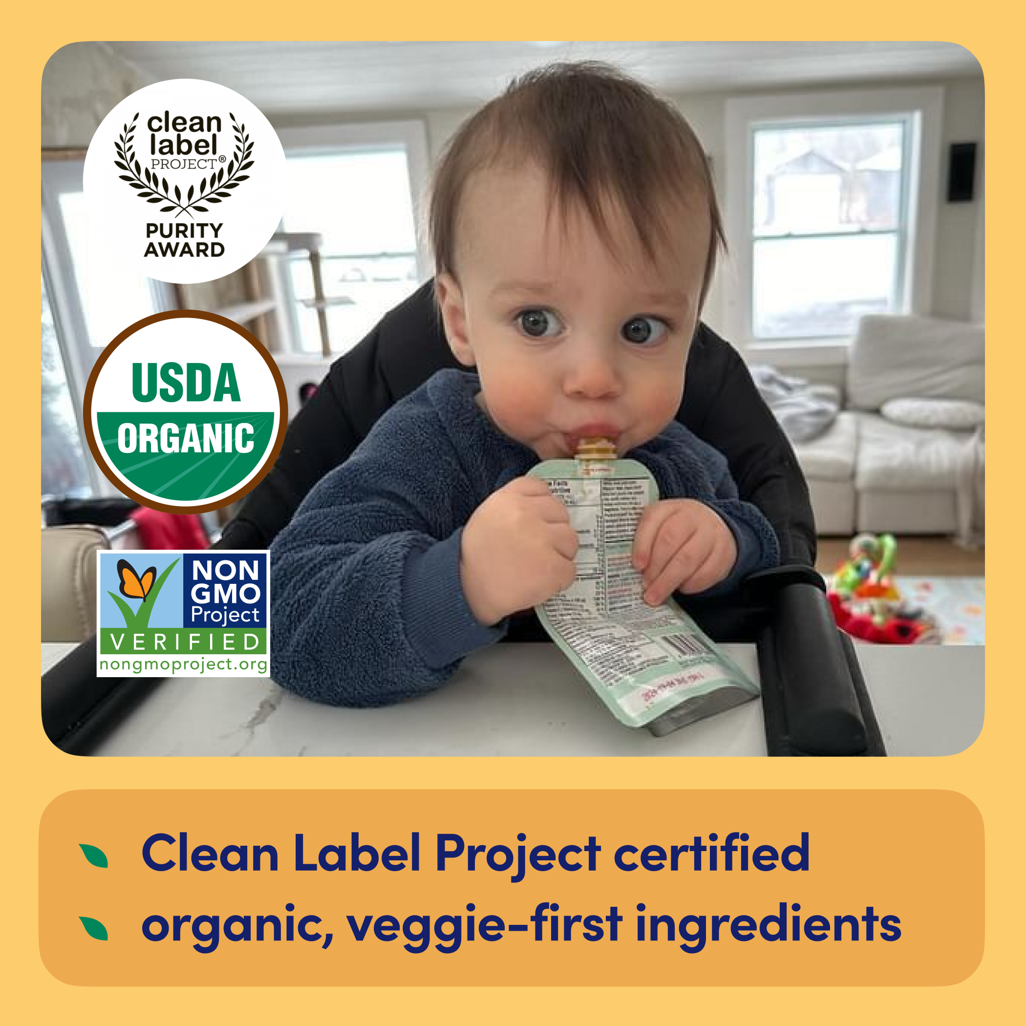 Carrot Pumpkin Puree 6 Puree Baby R kims