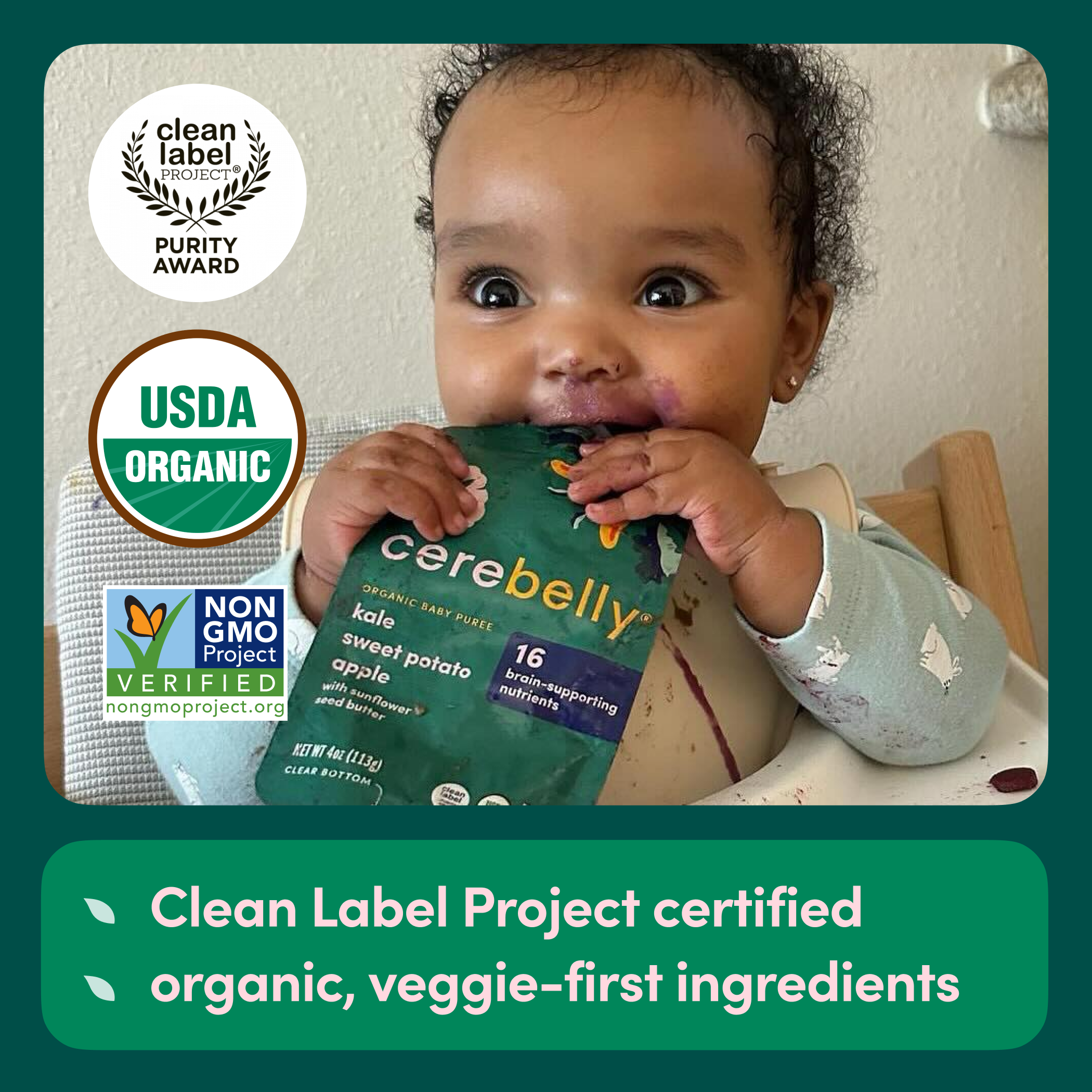 Kale Sweet Potato Apple Puree 6 Baby