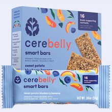 Sweet Potato Blueberry Banana Smart Bar 5 Image
