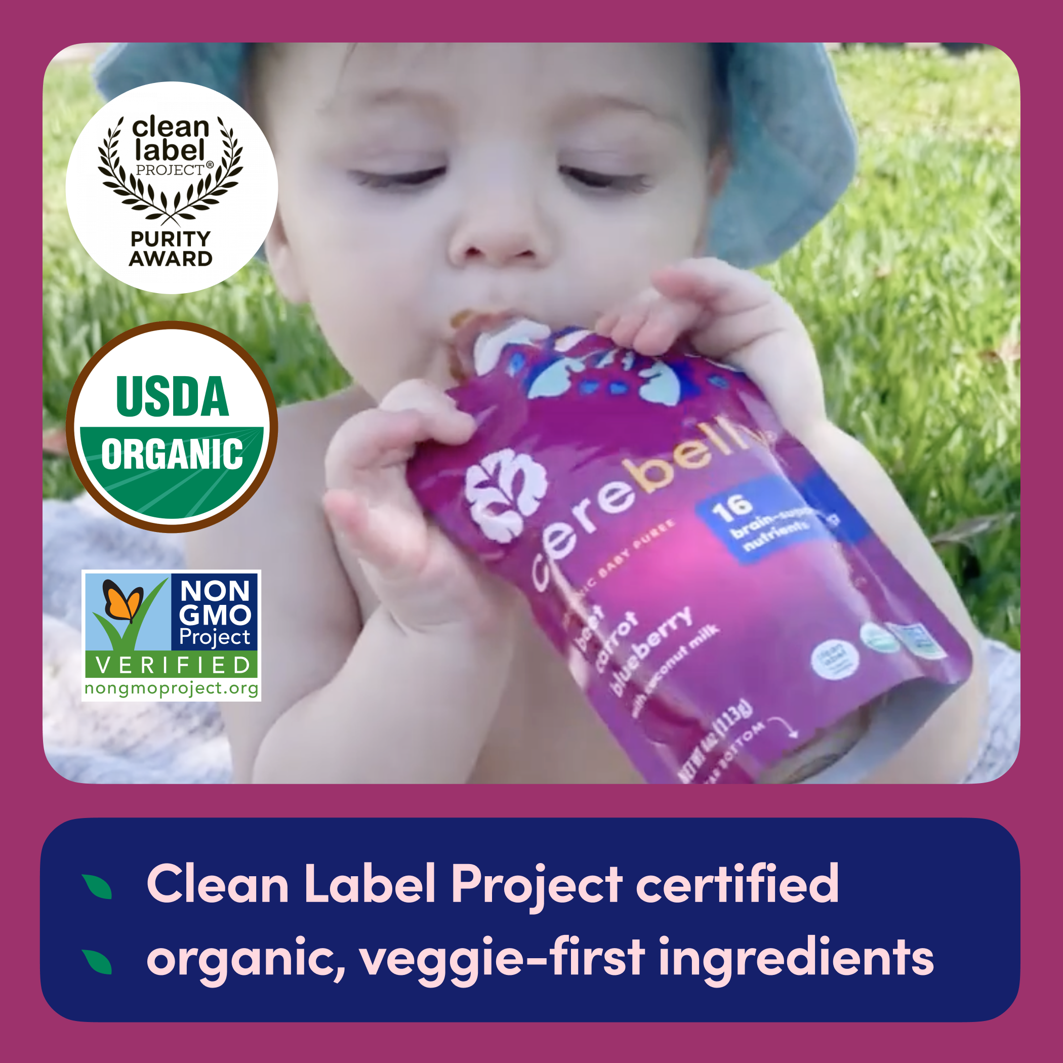 Beet Carrot Blueberry Puree 6 Pack