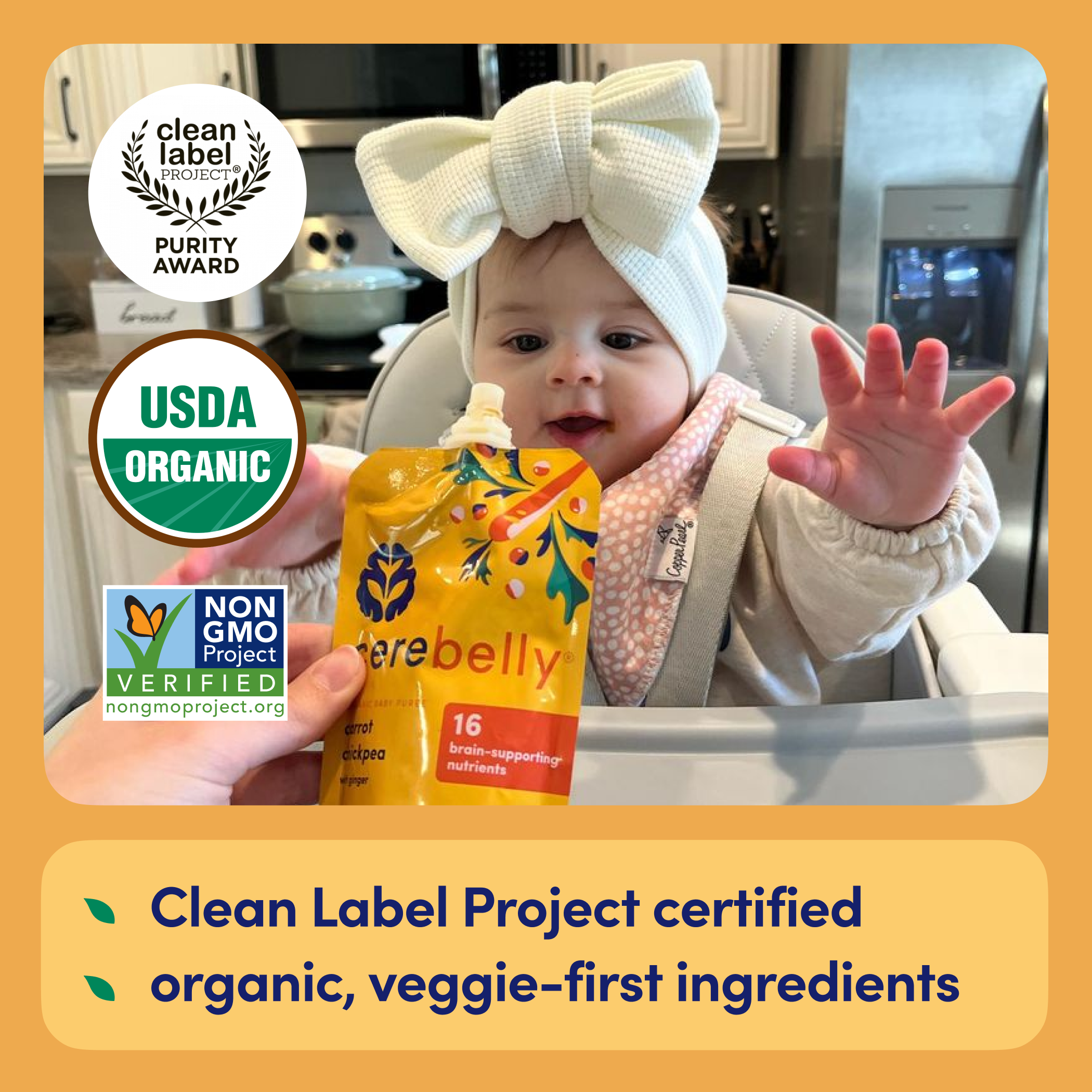 Carrot Chickpea Puree 6 Pack