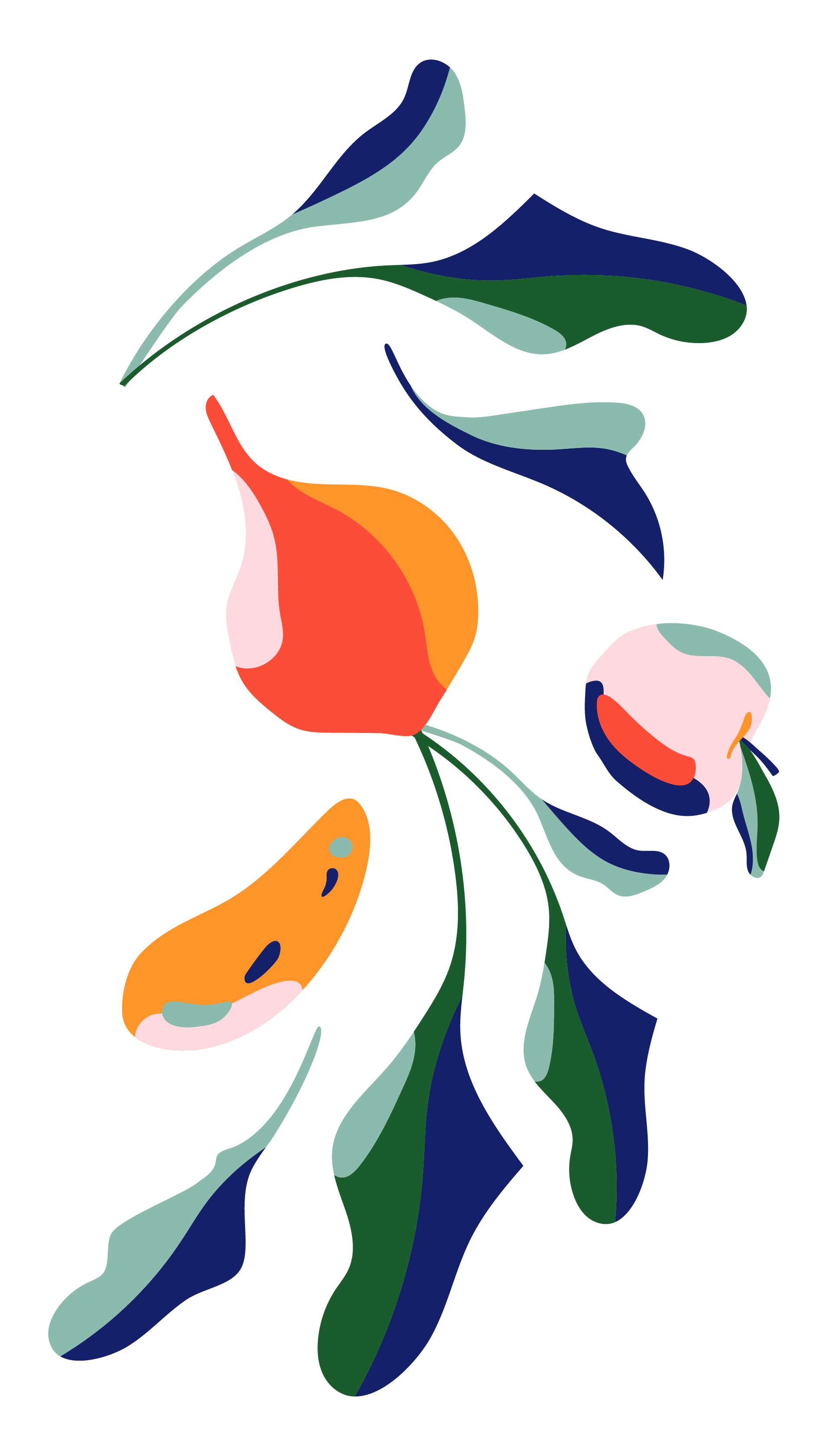 Cartoon Squash, Leaves, Apple and Peas