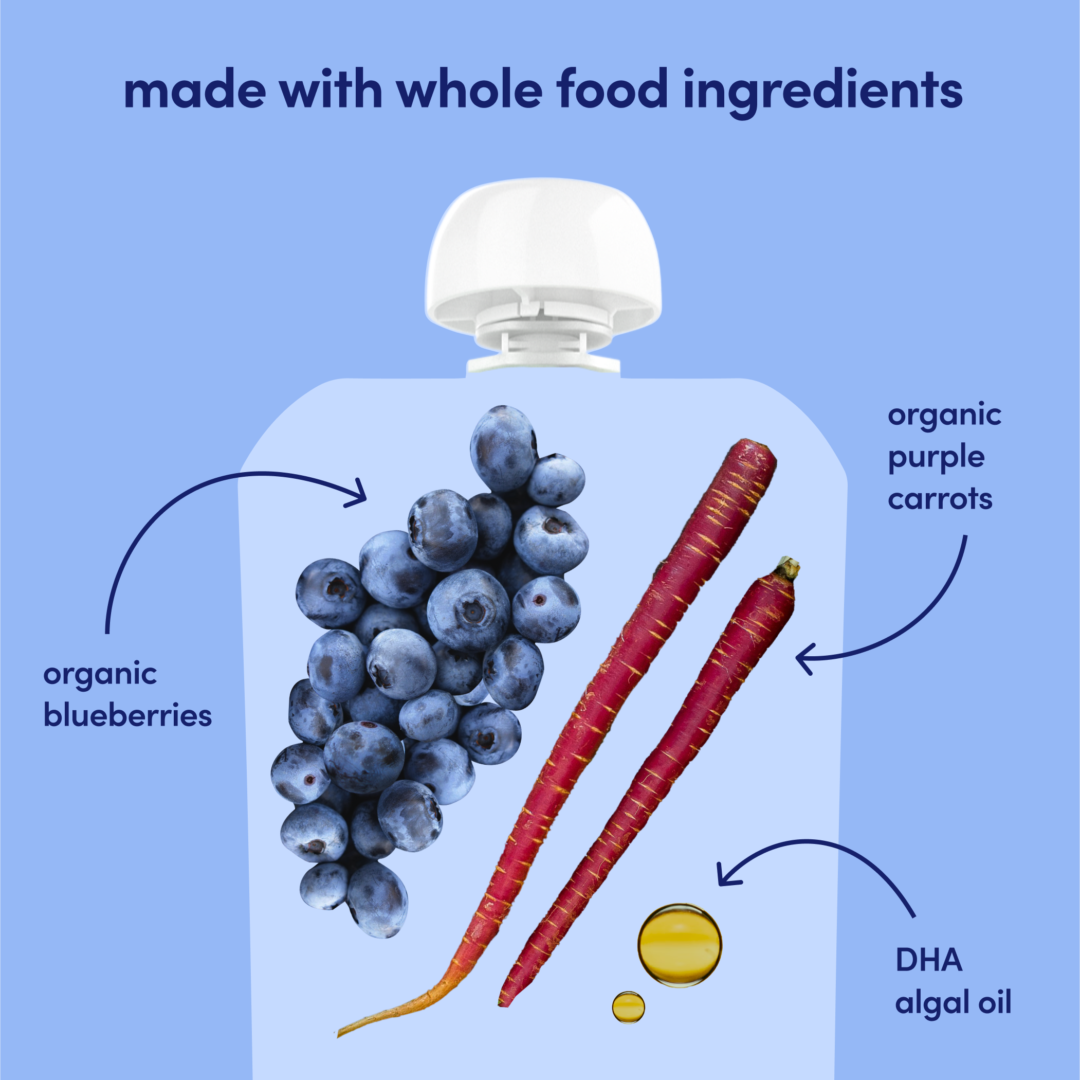 Purple Carrot Blueberry Smoothie Ingredients