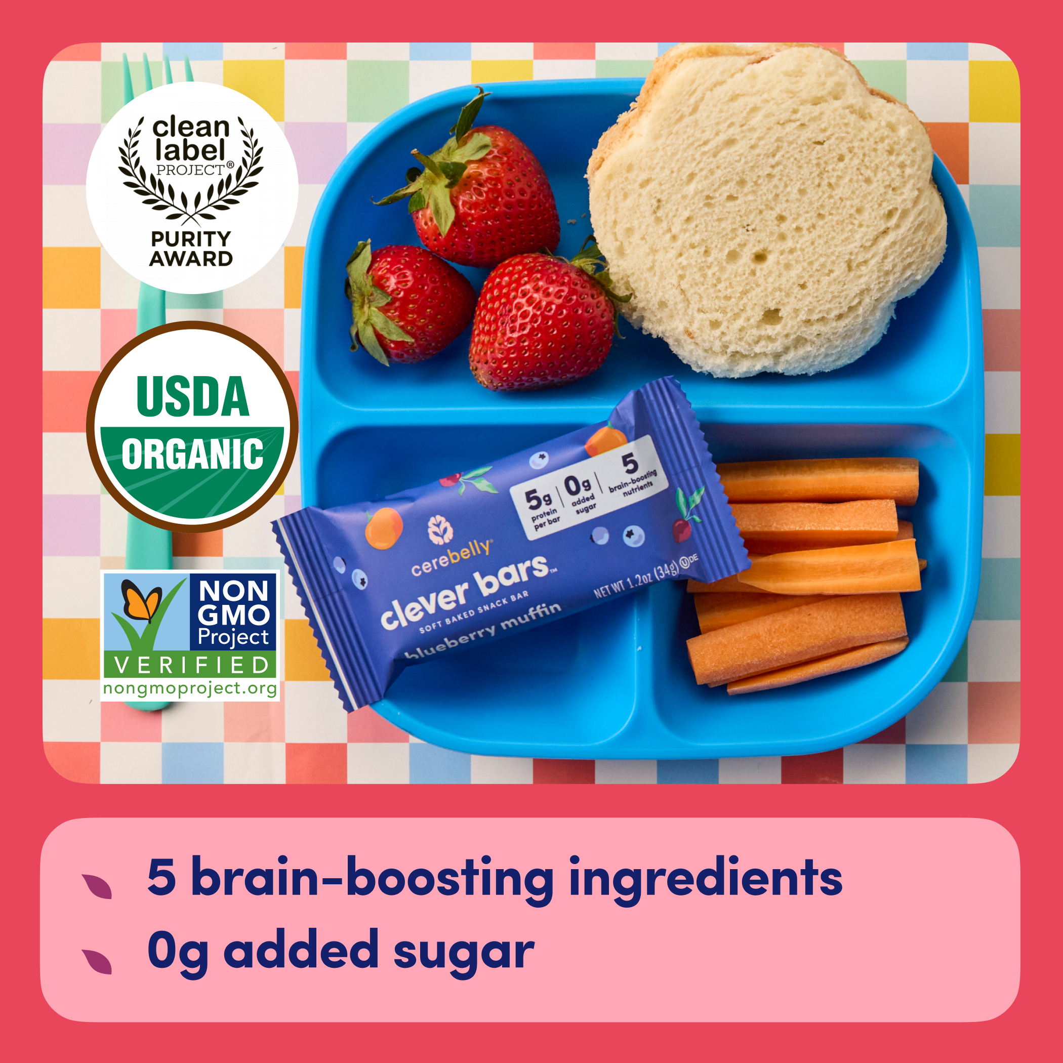 School Lunchbox Essentials Bundle