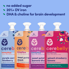 Smoothie Sampler Pack