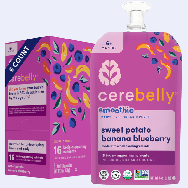 Sweet Potato Banana Blueberry Smoothie 6 Pack – Cerebelly