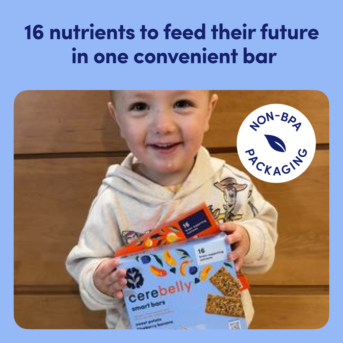 Sweet Potato Blueberry Banana Smart Bar 5 Pack