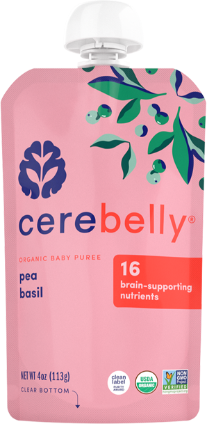 Cerebelly